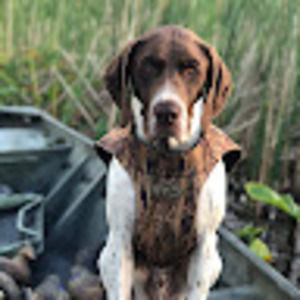 Meet your Posher, Jacob